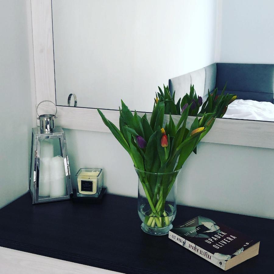 Apartament Happiness Jelenia Góra Εξωτερικό φωτογραφία