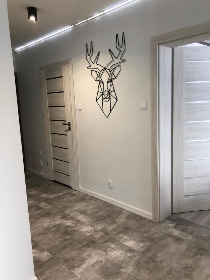 Apartament Happiness Jelenia Góra Εξωτερικό φωτογραφία